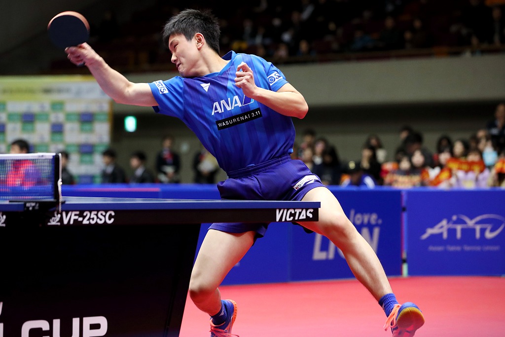 贝拉科奇亚 贝拉科奇亚