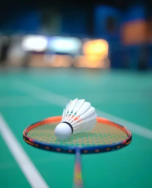 体育热帅惊喜“现身” 阿兰秀中文