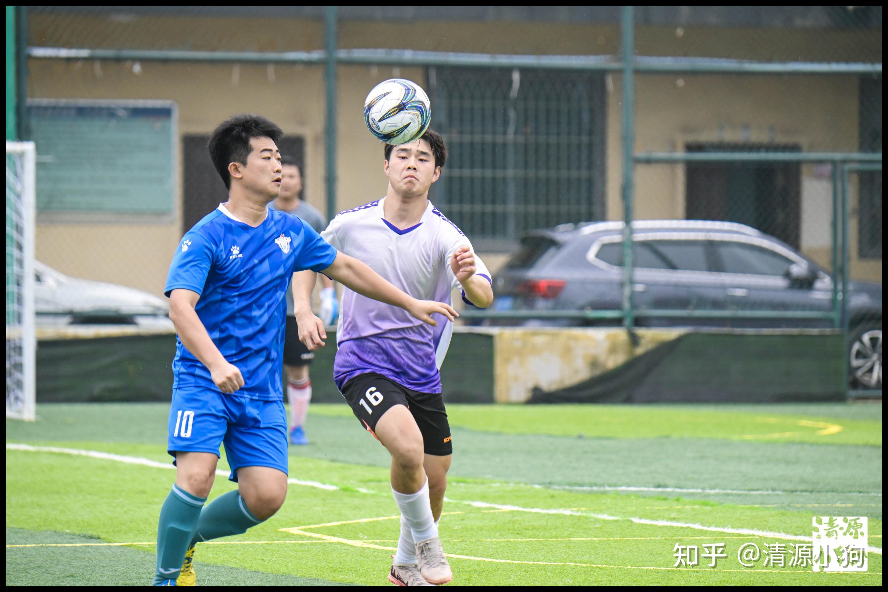 这种案例表 这种案例表